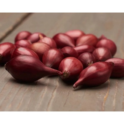 GardenSeed Premium BIO Cibuľa sadzačka Red Baron 300 g GardenSeed Premium BIO Cibuľa sadzačka Red Baron 300 g