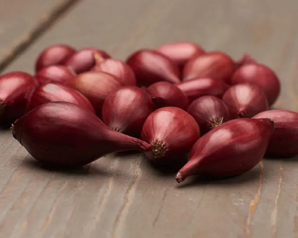 GardenSeed Premium BIO Cibuľa sadzačka Red Baron 300 g GardenSeed Premium BIO Cibuľa sadzačka Red Baron 300 g