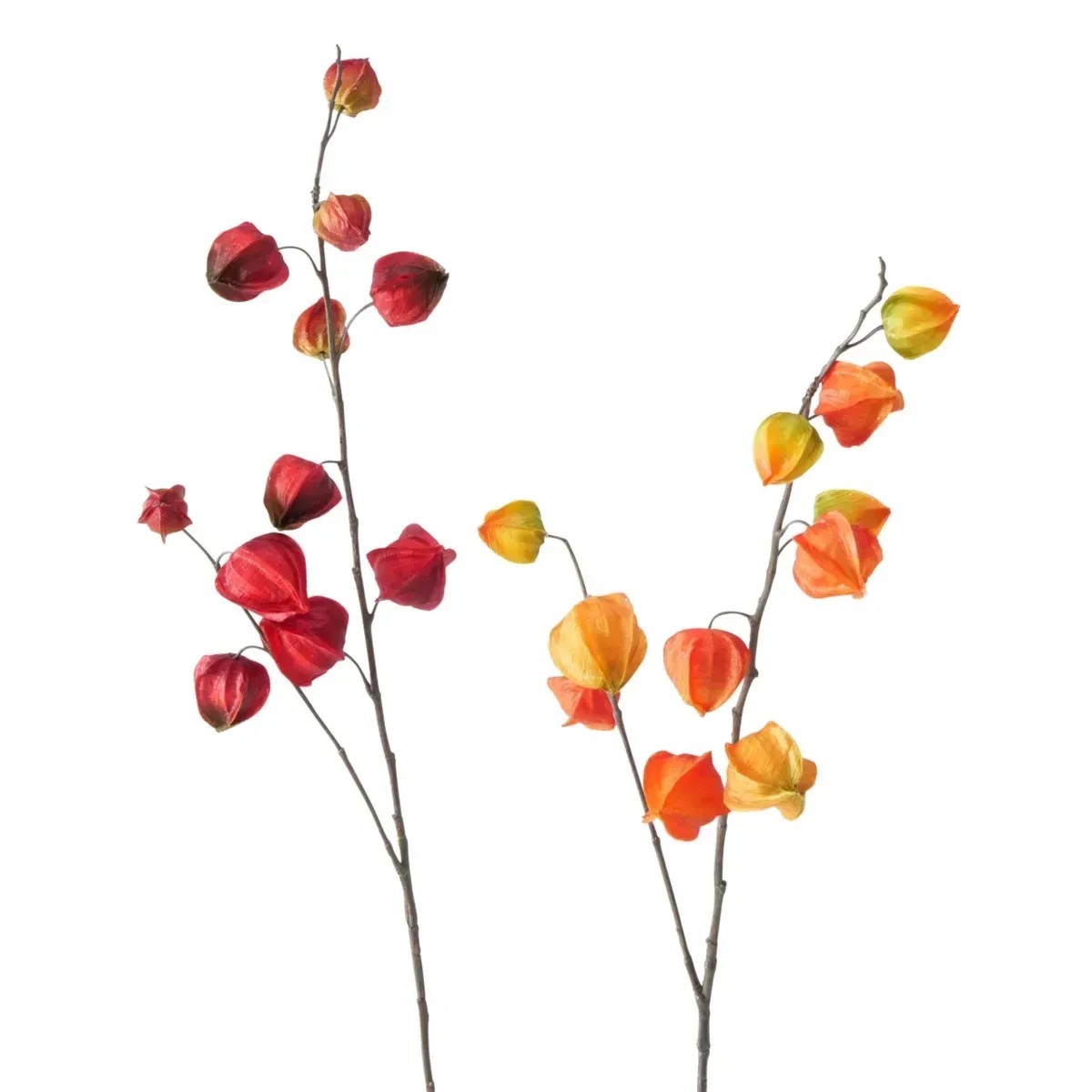 Boltze Home Dekoratívna vetvička Physalis, 2 varianty Boltze Home Dekoratívna vetvička Physalis, 2 varianty