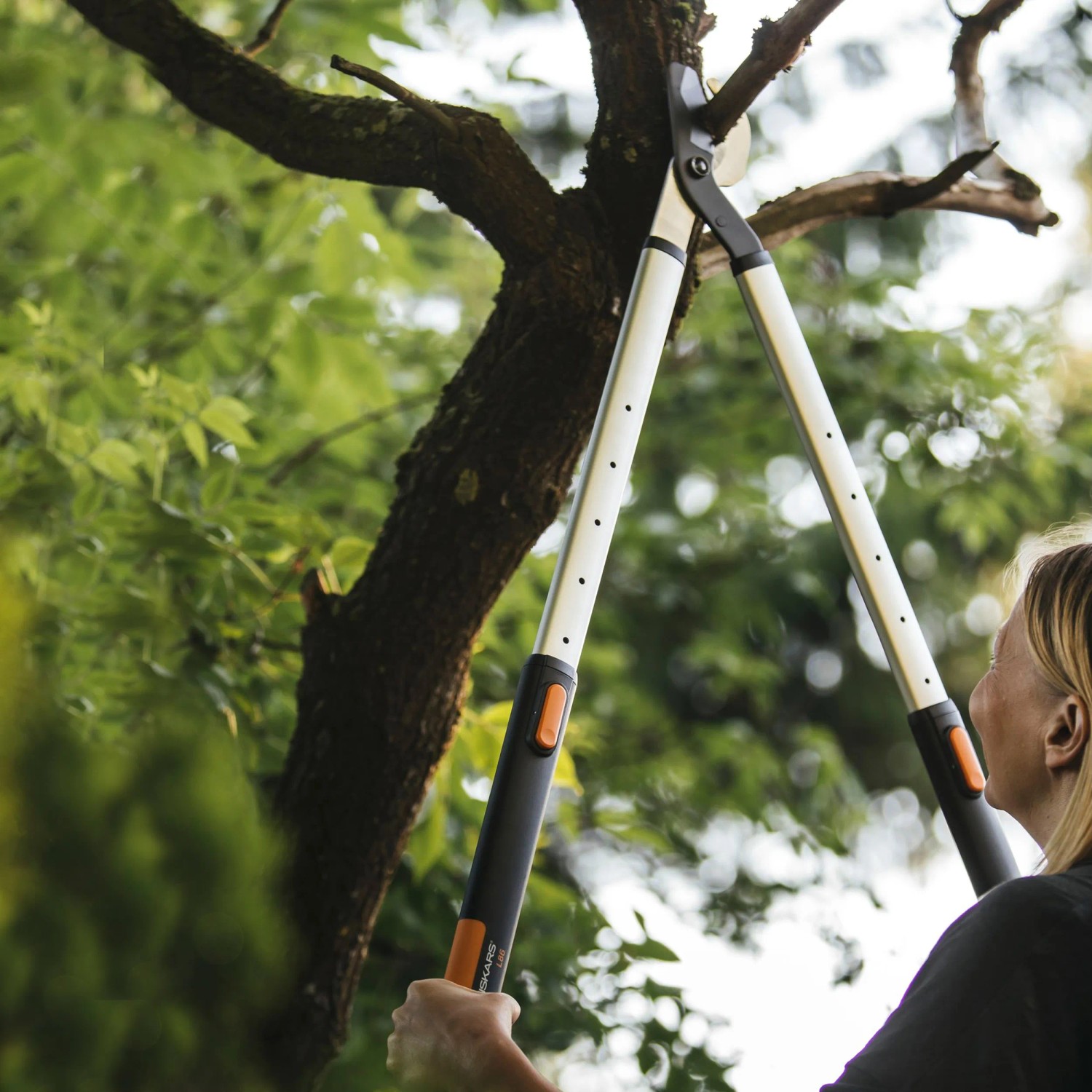 Teleskopické nožnice na konáre Fiskars SmartFit L86 strihajú konár v záhrade. Teleskopické nožnice na konáre Fiskars SmartFit L86 strihajú konár v záhrade.