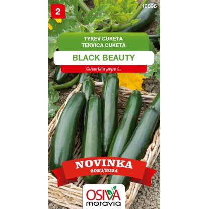 Aros Tekvica cuketa (Cucurbita Pepo) Black Beauty, semienka 10 ks Aros Tekvica cuketa (Cucurbita Pepo) Black Beauty, semienka 10 ks