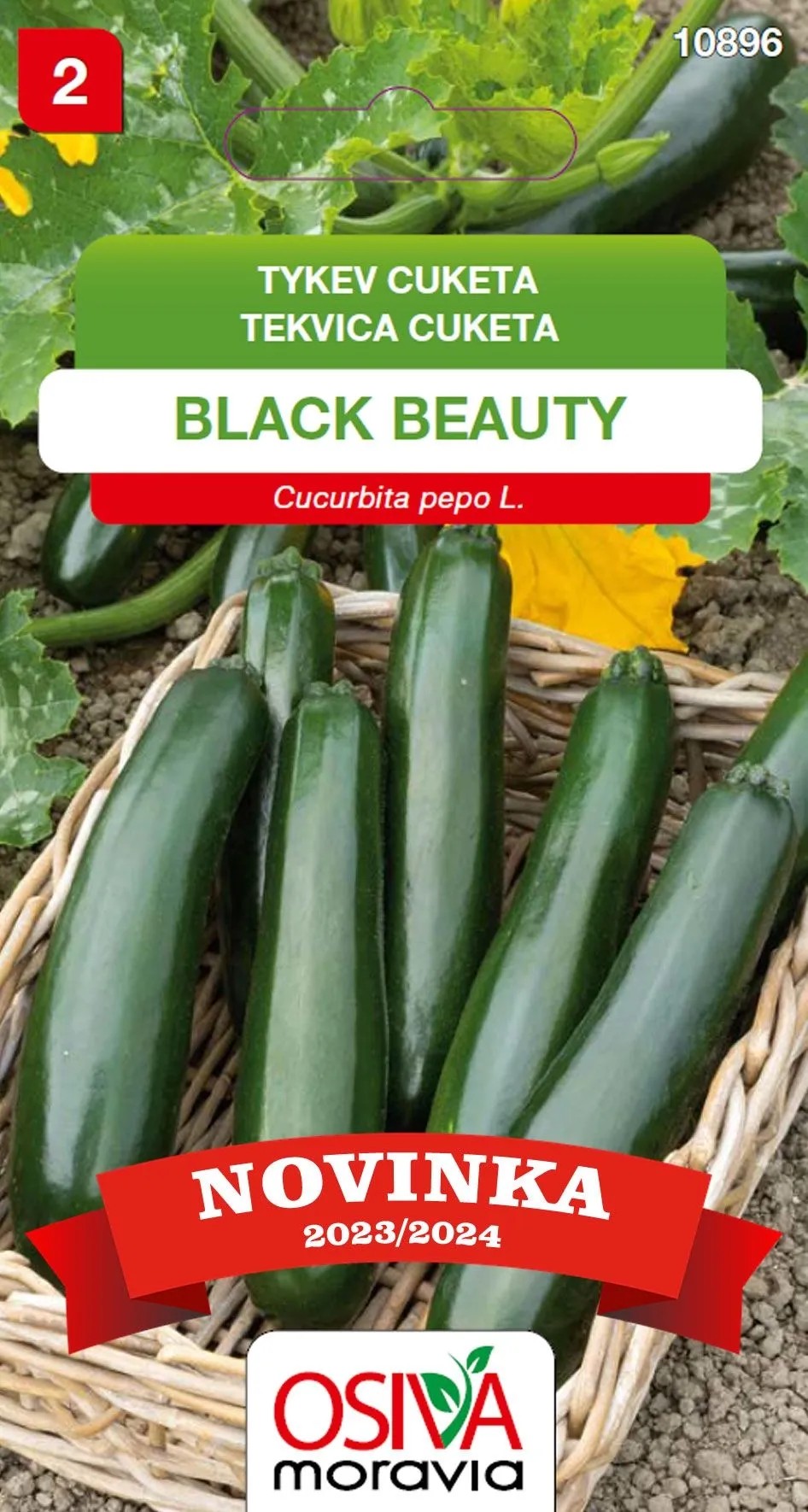 Aros Tekvica cuketa (Cucurbita Pepo) Black Beauty, semienka 10 ks Aros Tekvica cuketa (Cucurbita Pepo) Black Beauty, semienka 10 ks
