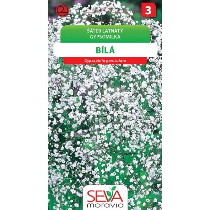 Aros Semená Gypsomilka metlinatá (Gypsophila elegans) Aros Semená Gypsomilka metlinatá (Gypsophila elegans)
