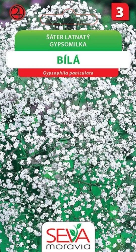 Aros Semená Gypsomilka metlinatá (Gypsophila elegans) Aros Semená Gypsomilka metlinatá (Gypsophila elegans)