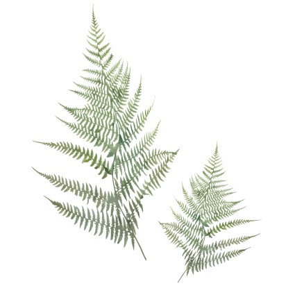 baliv Nálepka na dlaždice, zelená baliv Nálepka na dlaždice, zelená