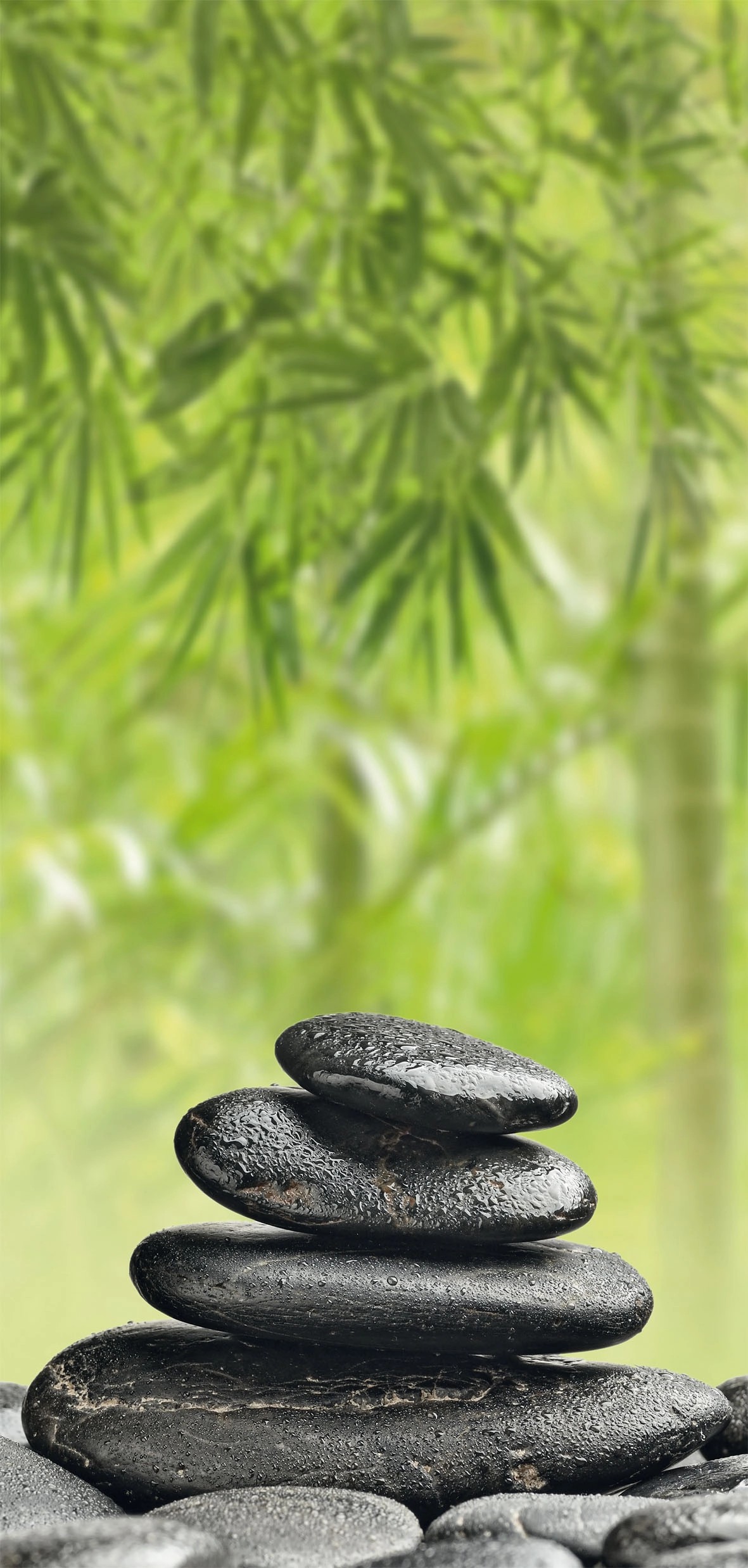 Sanotechnik Dekoratívny sprchový panel Sanowall, wellness Ľ, 100 x 205 cm Sanotechnik Dekoratívny sprchový panel Sanowall, wellness Ľ, 100 x 205 cm