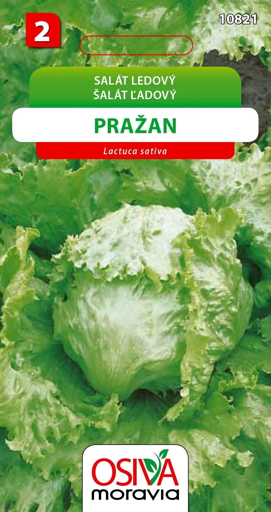 Semienka Šalát ľadový Pražan (Latuca sativa) Semienka Šalát ľadový Pražan (Latuca sativa)