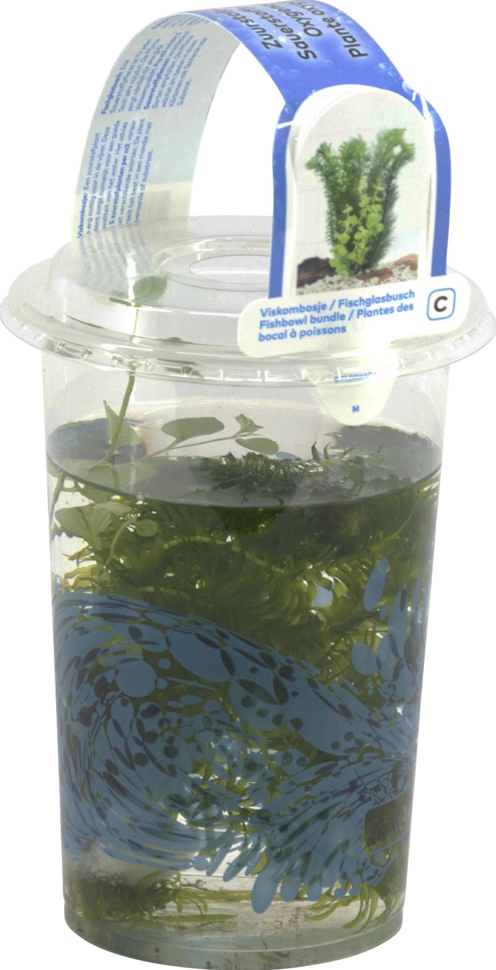 OBI Vodné rastliny 3 druhy v nádobe s priemerom cca 11 cm OBI Vodné rastliny 3 druhy v nádobe s priemerom cca 11 cm