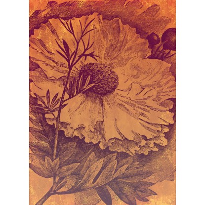 Komar Vliesová fototapeta Harvest 200 x 280 cm Komar Vliesová fototapeta Harvest 200 x 280 cm