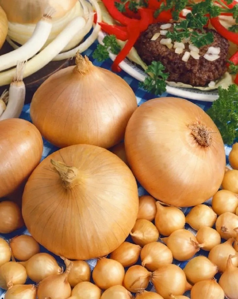 GardenSeed Premium Cibuľa sadzačka Štutgarstká 300 g GardenSeed Premium Cibuľa sadzačka Štutgarstká 300 g