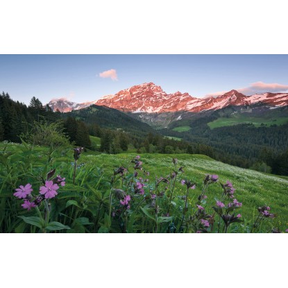 Komar Vliesová fototapeta Malebné Švajčiarsko, 450 x 280 cm Komar Vliesová fototapeta Malebné Švajčiarsko, 450 x 280 cm