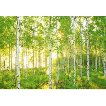 Komar Vliesová fototapeta Sunday 368 x 248 cm Komar Vliesová fototapeta Sunday 368 x 248 cm