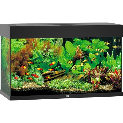 Juwel Aquarium Akvarijný set Rio LED, čierny, 125 l, 81 x 36 x 50 cm Juwel Aquarium Akvarijný set Rio LED, čierny, 125 l, 81 x 36 x 50 cm