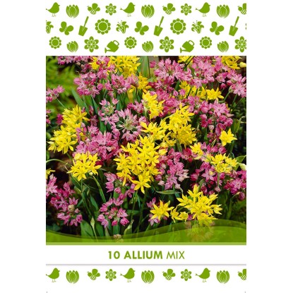 Kvetinová cibuľka cesnaku ozdobného (Allium Mixed) Kvetinová cibuľka cesnaku ozdobného (Allium Mixed)