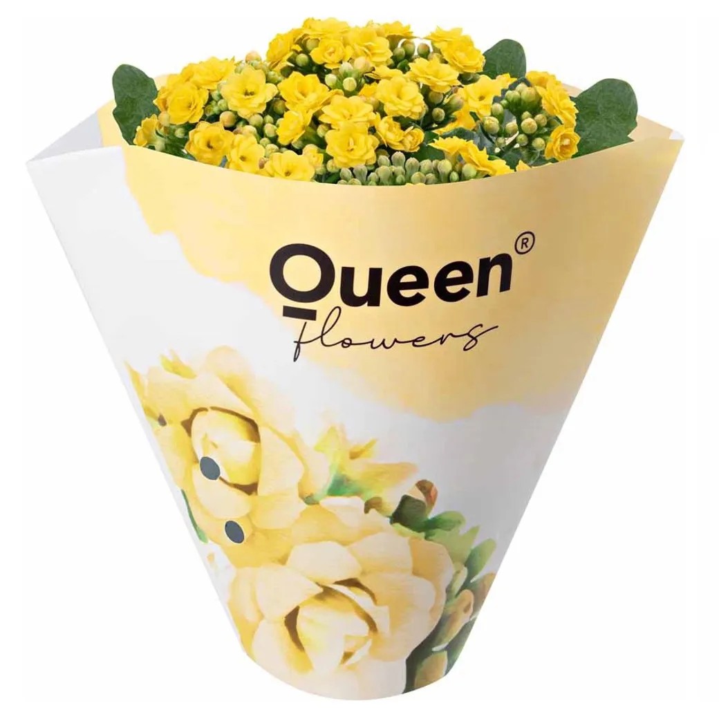 GROW by OBI Kolopejka vďačná (Kalanchoe) dvojkvetá žltá 20-25 cm pr. 105 cm GROW by OBI Kolopejka vďačná (Kalanchoe) dvojkvetá žltá 20-25 cm pr. 105 cm