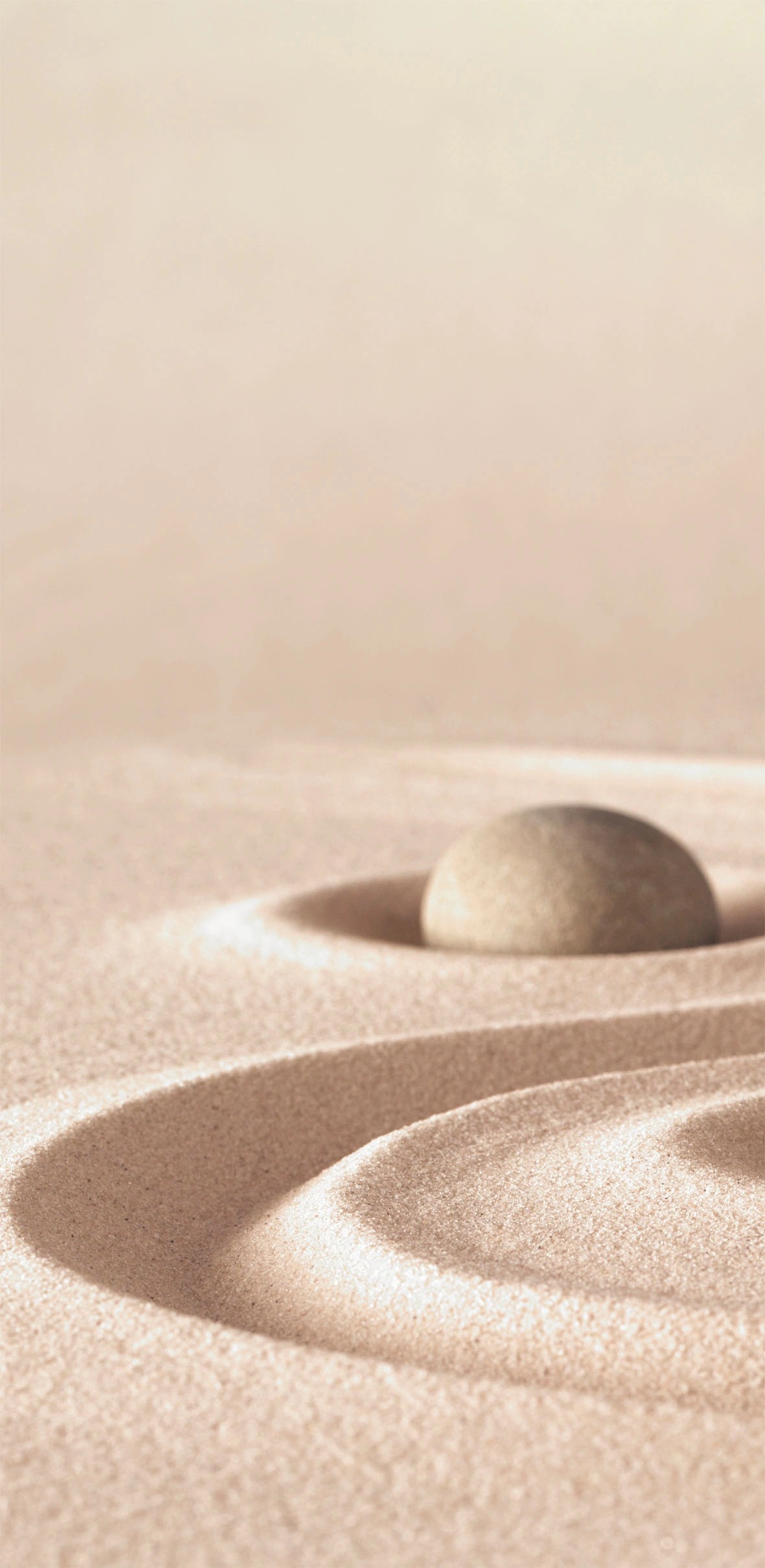 Sanotechnik Dekoratívny sprchový panel Sanowall, piesočný kameň P, 100 x 205 cm Sanotechnik Dekoratívny sprchový panel Sanowall, piesočný kameň P, 100 x 205 cm