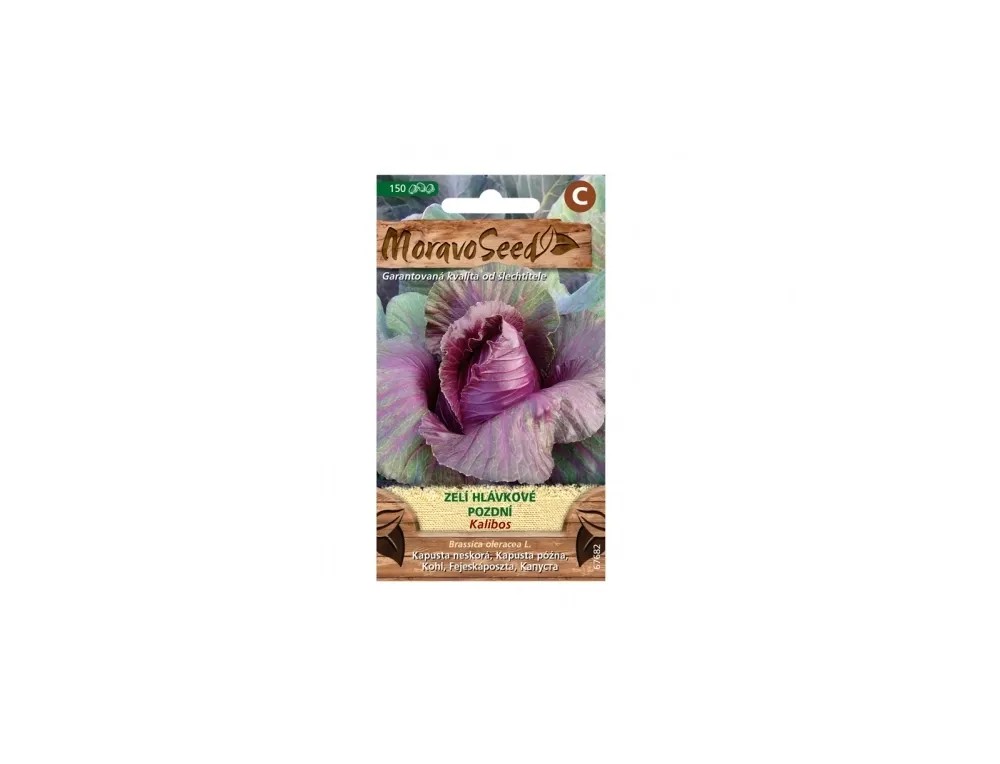 Gardenie Kapusta hlávková neskorá na skladovanie KALIBOS, červené Gardenie Kapusta hlávková neskorá na skladovanie KALIBOS, červené