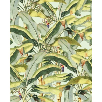 Komar Vliesová fototapeta Banana Grove 250 x 200 cm Komar Vliesová fototapeta Banana Grove 250 x 200 cm