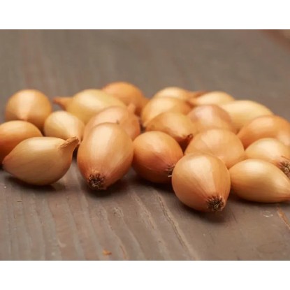 GardenSeed Premium BIO Cibuľa sadzačka Sturon 300 g GardenSeed Premium BIO Cibuľa sadzačka Sturon 300 g