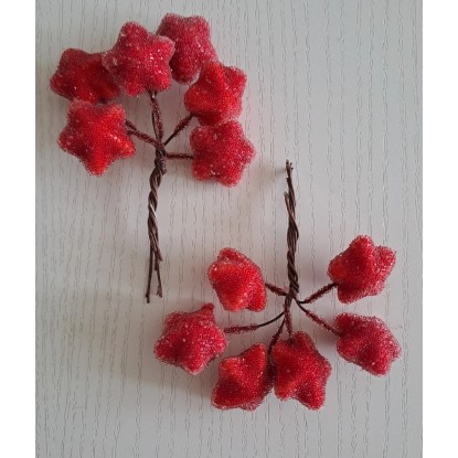 EverGreen Vianočná zapichovacia dekorácia hviezdičky červené pr. 2,5 cm, 12 ks EverGreen Vianočná zapichovacia dekorácia hviezdičky červené pr. 2,5 cm, 12 ks