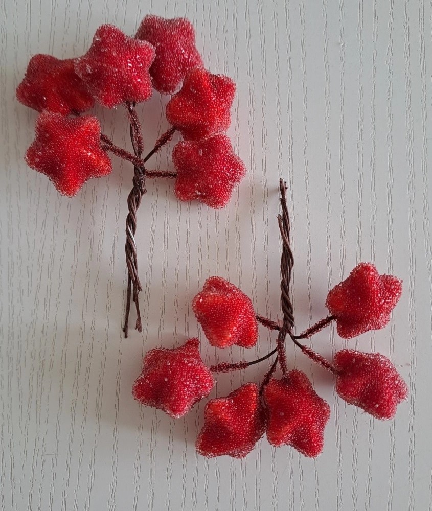 EverGreen Vianočná zapichovacia dekorácia hviezdičky červené pr. 2,5 cm, 12 ks EverGreen Vianočná zapichovacia dekorácia hviezdičky červené pr. 2,5 cm, 12 ks