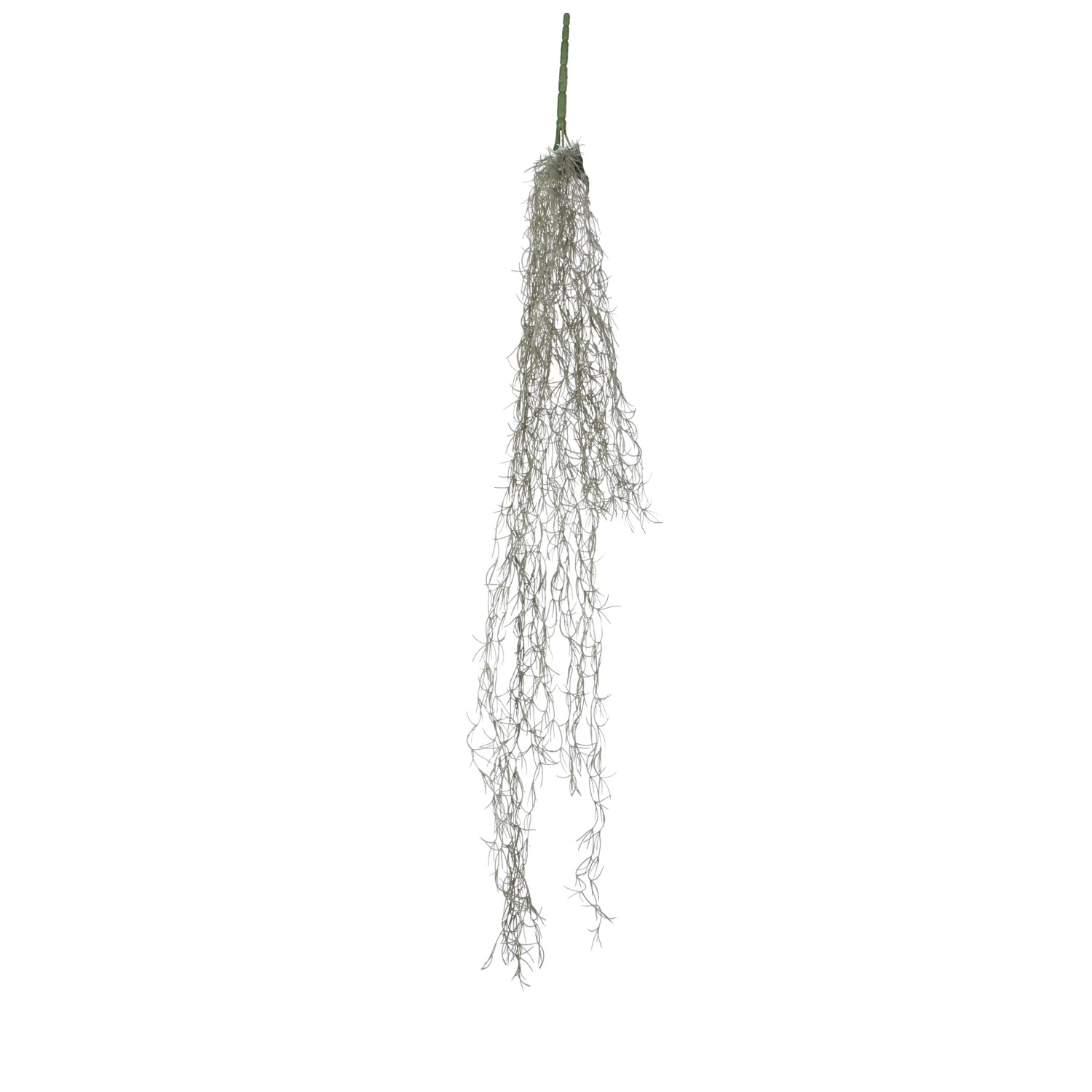 MICA Decorations Umelá rastlina Tillandsia závesná zelená 115 cm MICA Decorations Umelá rastlina Tillandsia závesná zelená 115 cm