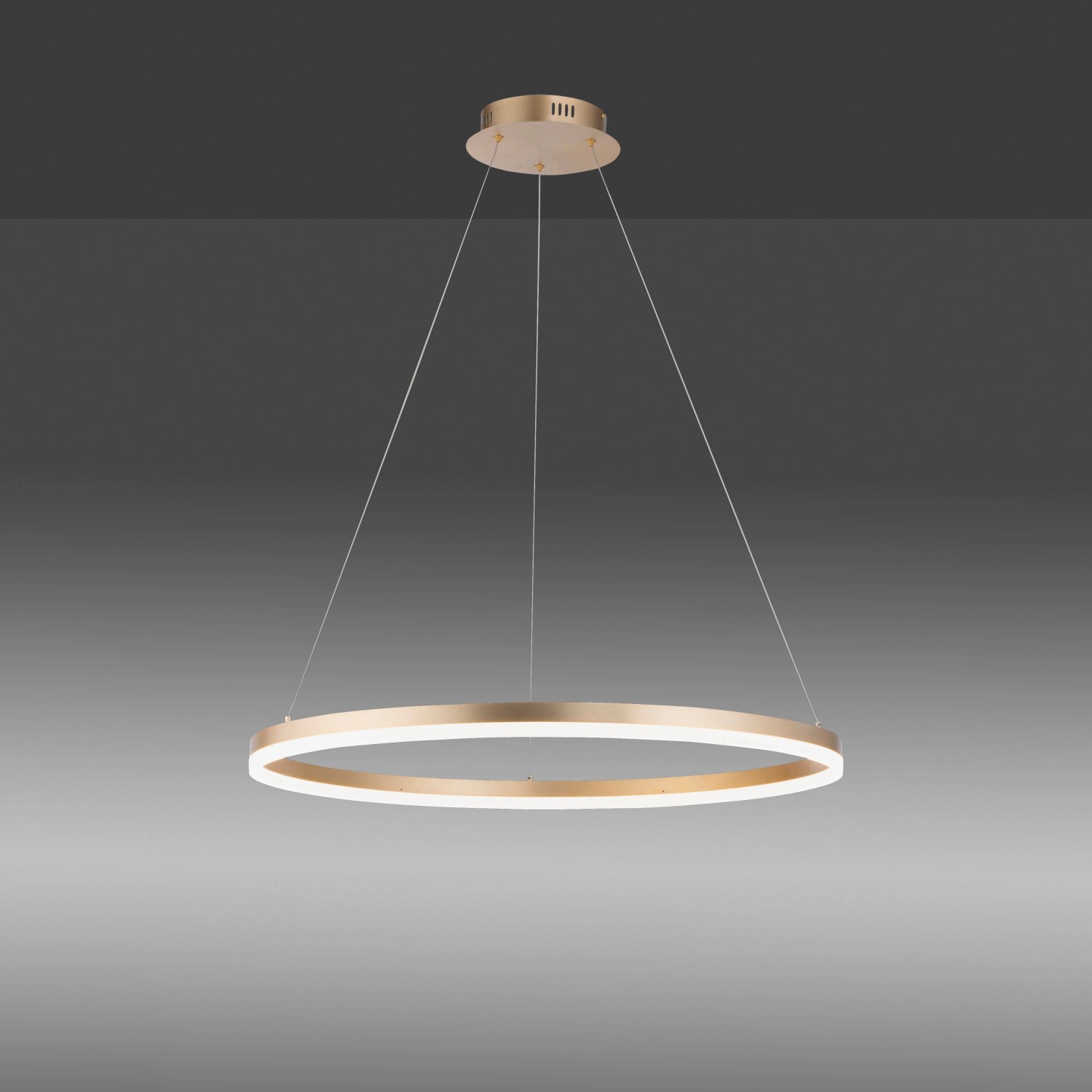 Moderné okrúhle LED závesné svietidlo Helia od Paul Neuhaus, mosadznej farby, Ø 80 cm. Moderné okrúhle LED závesné svietidlo Helia od Paul Neuhaus, mosadznej farby, Ø 80 cm.