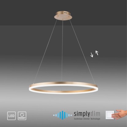 Moderné LED závesné svietidlo Helia od Paul Neuhaus, mosadzná farba, Ø 80cm, stmievateľné. Moderné LED závesné svietidlo Helia od Paul Neuhaus, mosadzná farba, Ø 80cm, stmievateľné.