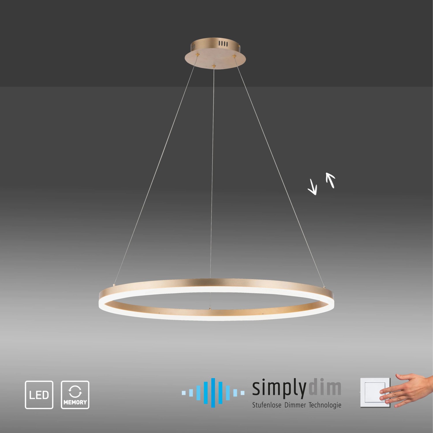 Moderné LED závesné svietidlo Helia od Paul Neuhaus, mosadzná farba, Ø 80cm, stmievateľné. Moderné LED závesné svietidlo Helia od Paul Neuhaus, mosadzná farba, Ø 80cm, stmievateľné.
