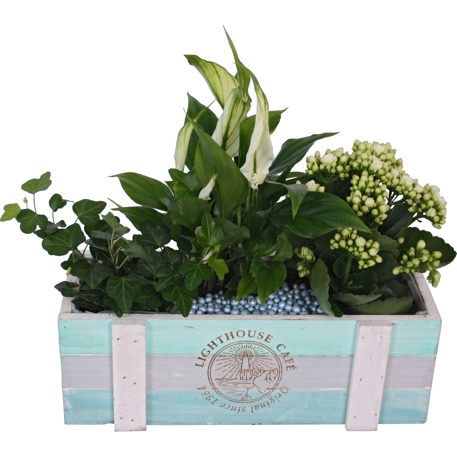 Aranžmán zo zelených a kvitnúcich rastlín v drevenej debne priemer cca 30 cm Aranžmán zo zelených a kvitnúcich rastlín v drevenej debne priemer cca 30 cm