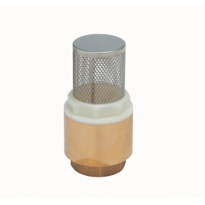 LUX-TOOLS Mosadzný sací kôš 38,9 mm (RP 1 1/4") LUX-TOOLS Mosadzný sací kôš 38,9 mm (RP 1 1/4")