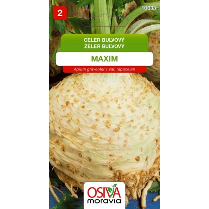 Semienka Zeler buľvový Maxim (Apium graveolens var. rapaceum) Semienka Zeler buľvový Maxim (Apium graveolens var. rapaceum)