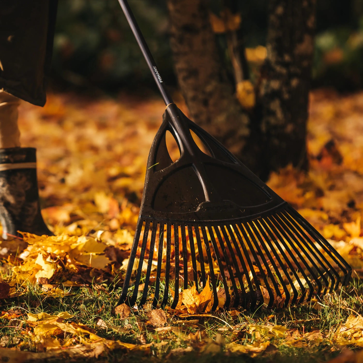 Fiskars Solid XL hrable na lístie pri zhrabávaní lístia v záhrade. Fiskars Solid XL hrable na lístie pri zhrabávaní lístia v záhrade.