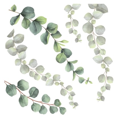 Crearreda Samolepiaca dekorácia 54120 motív eukalyptus, veľ. M Crearreda Samolepiaca dekorácia 54120 motív eukalyptus, veľ. M