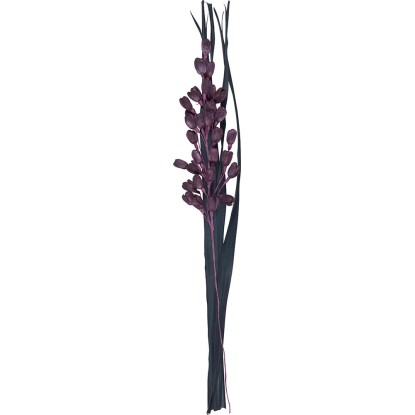 Sušená kytica Ľalia Midnight Mystery purpurovo čierna, 95 cm Sušená kytica Ľalia Midnight Mystery purpurovo čierna, 95 cm