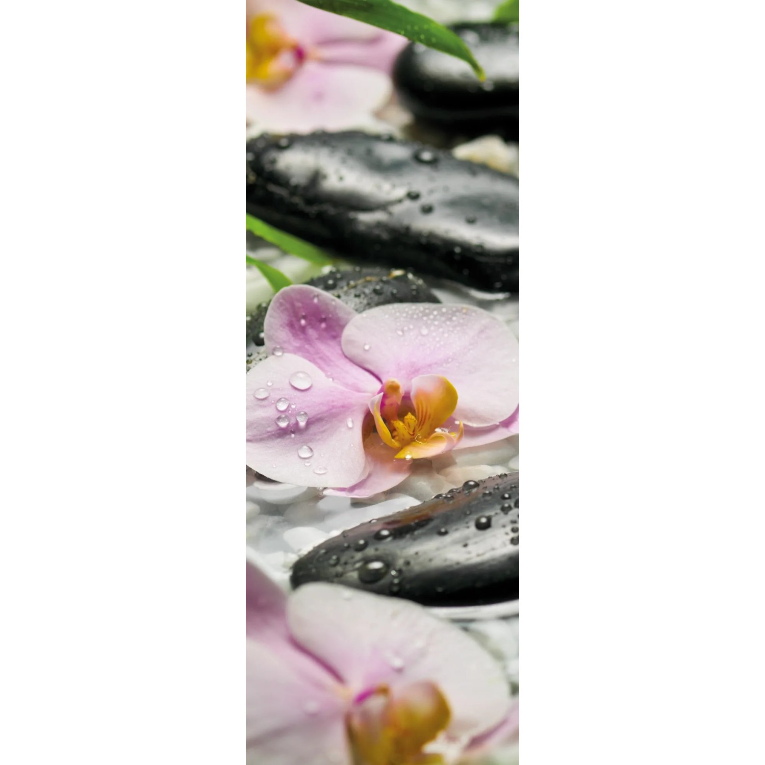 E-shop Komar Vliesová fototapeta Wellness 100 x 280 cm