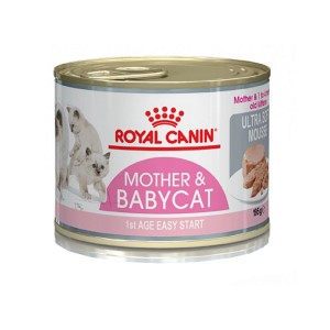 Royal Canin Mother & Babycat Mousse, 195g konzerva mačacieho krmiva pre mačky matky a mačiatka.
