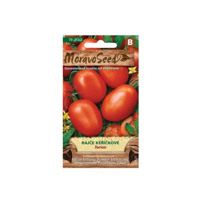 MoravoSeed Rajčiak kríčkový TERION oválny