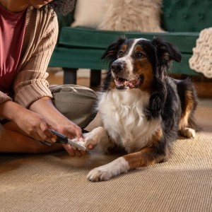 FISKARS PET CARE Pilník na pazúriky (2009142)
