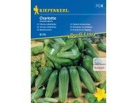 Kiepenkerl Semienka Uhorka nakladačka Charlotte