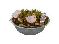 Aranžmá modrice (Muscari) v zinkovom kvetináči, pr. kv. cca 29 cm