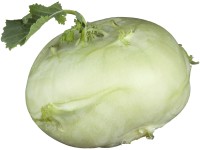 Kaleráb modrý skorý, miska s 10 - 12 kusmi