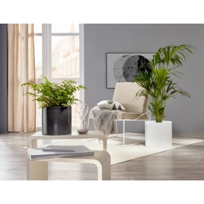 Kvetináč Scheurich 828 Panna, Ø 33 cm, v modernom obývacom prostredí s rastlinami.