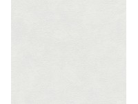 A. S. Creation Pretierateľná vliesová tapeta Meistervlies Creativ biela 377913