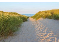 Komar Papierová fototapeta Sandy Path 368 x 254 cm