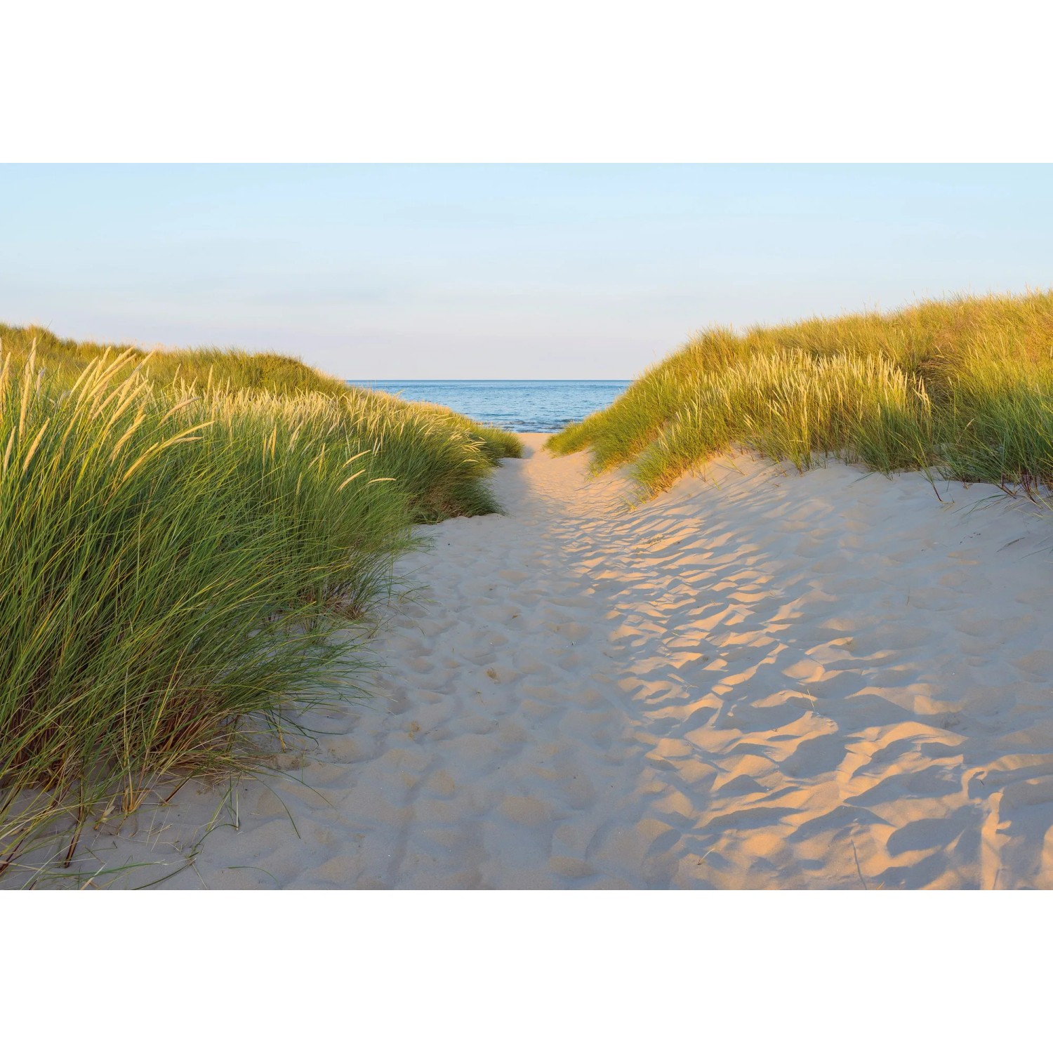 E-shop Komar Papierová fototapeta Sandy Path 368 x 254 cm