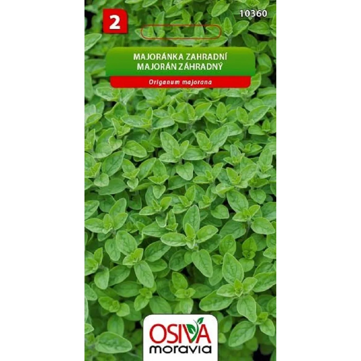 E-shop Osiva Moravia Semienka Majorán záhradný (Origanum majorana)