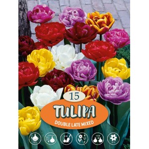Zmes plnokvetých tulipánov rôznych farieb ako cibuľky pre záhradu.