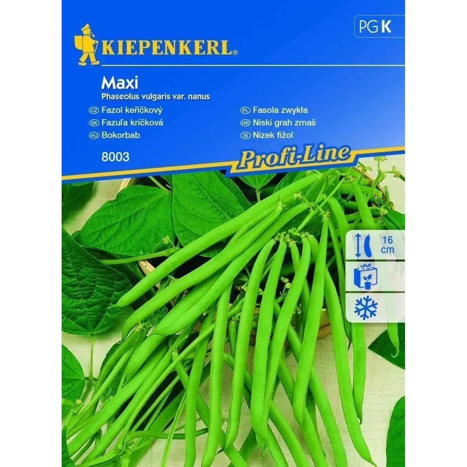 E-shop Kiepenkerl Semená Fazuľa kríčková Maxi