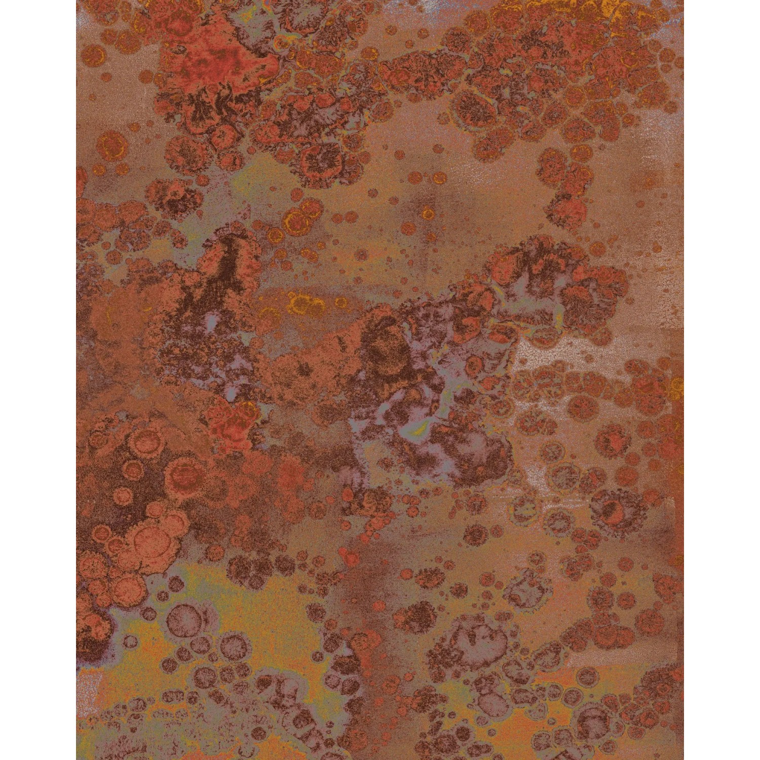 E-shop Komar Vliesová fototapeta Patina 200 x 250 cm